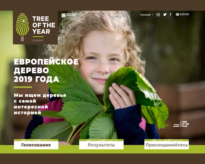 Костромичи могут поддержать абрамцевский дуб в престижном международном экологическом конкурсе