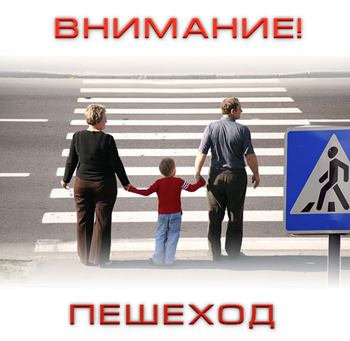 В Костромской области началась акция «Внимание! Пешеход»