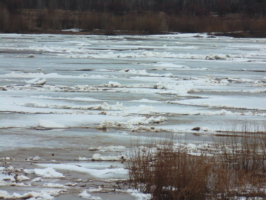 В Костромской области уровень воды в реках поднялся на 4 см