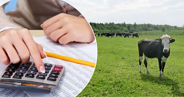 В Костромской области введены дополнительные критерии отбора получателей субсидий в сельском хозяйстве