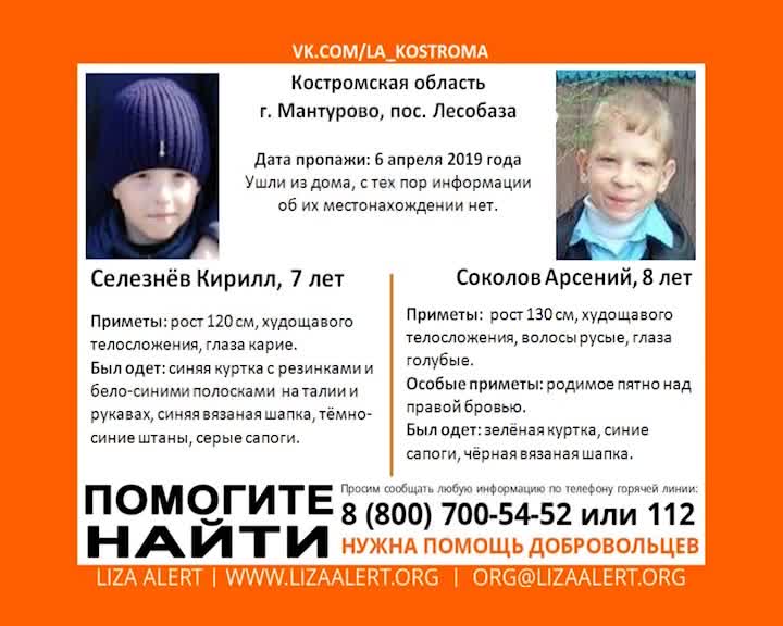 В Костромской области ищут пропавших мальчиков