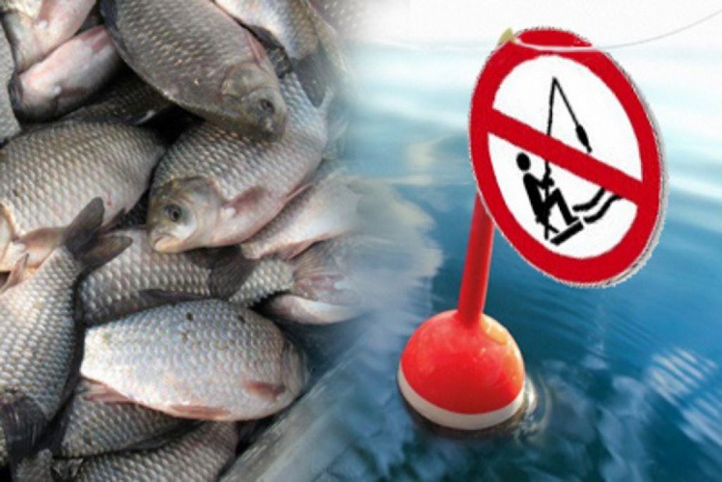 В Костромской области вводится запрет на ловлю рыбы