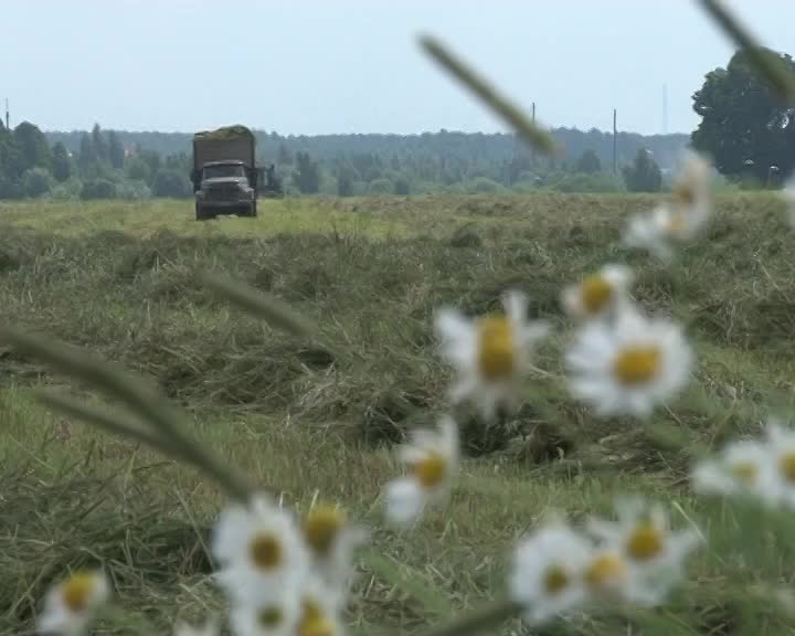 В Костромской области сельхозкооперативы получат государственные субсидии
