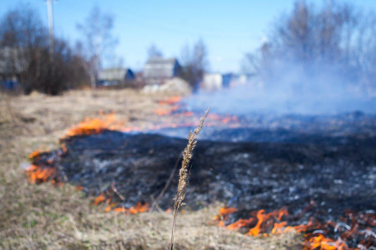 В 17 районах Костромской области прогнозируется высокий  IV класс пожарной опасности