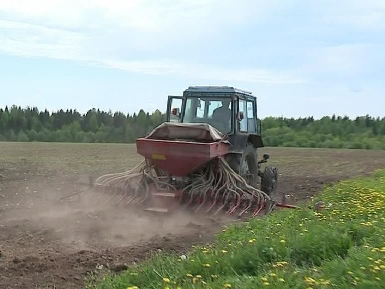 В Костромской области посевные работы выполнены на 76 процентов