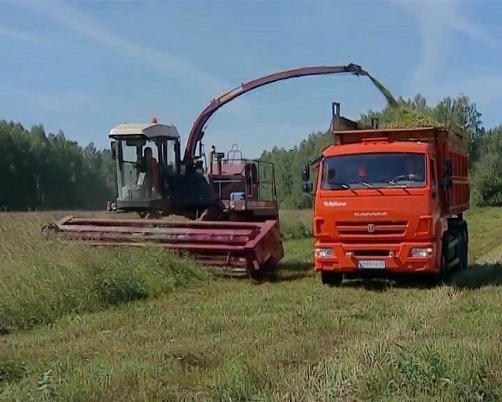 В Костромской области используют каждый погожий день для заготовки кормов
