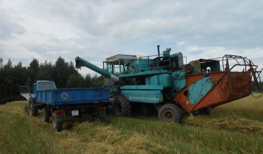 Хозяйства Вохомского района ведут уборку зерновых.