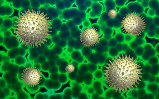 В регионе за сутки коронавирусной инфекцией заболели 34 человека