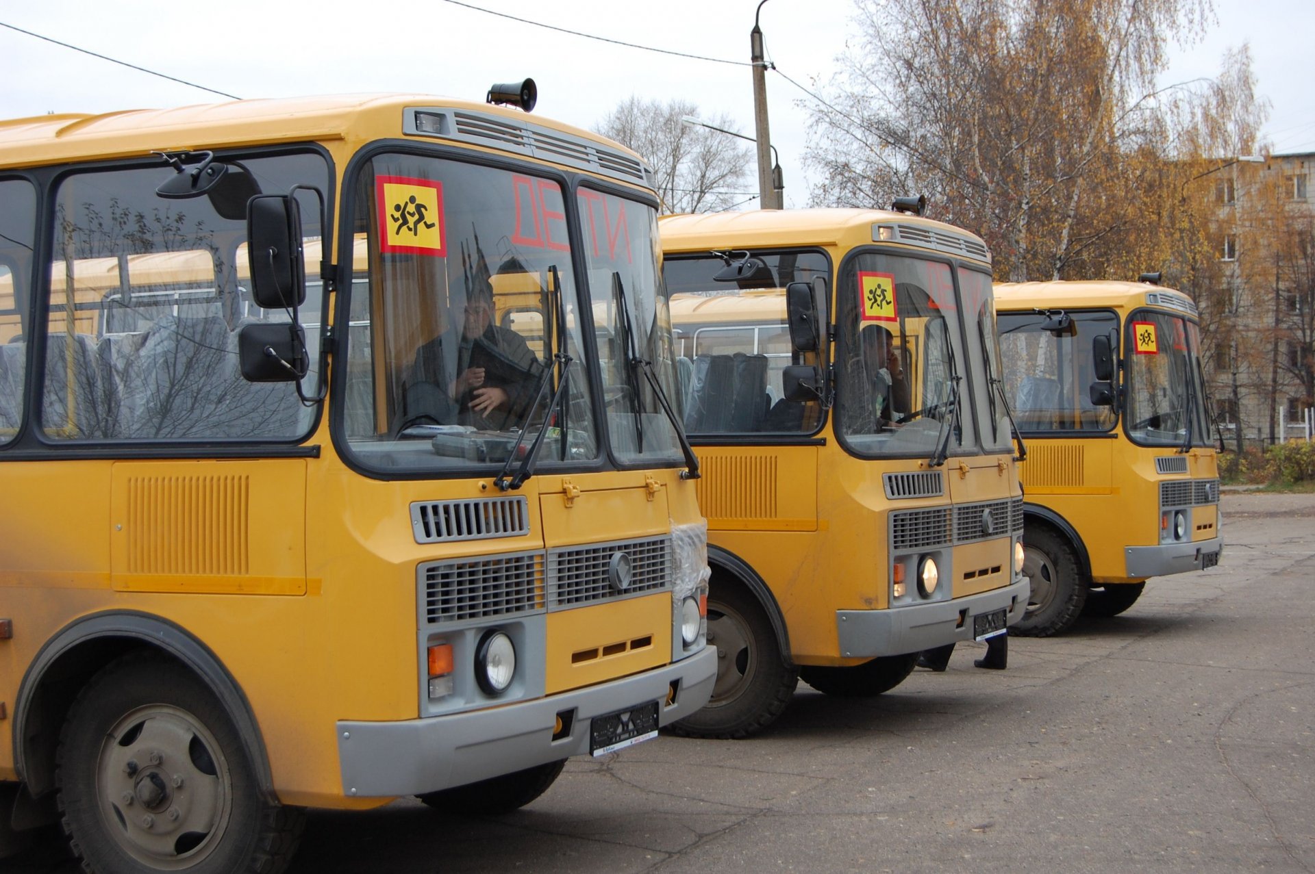Школьники области буду ездить на новых автобусах.