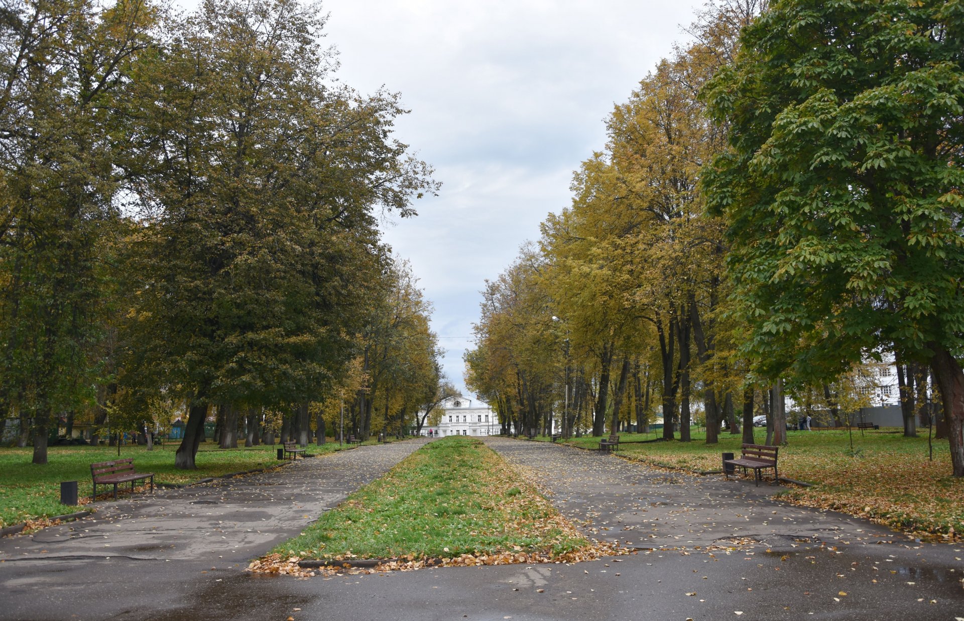Проект благоустройства парка «Центральный» в Костроме еще подлежит обсуждению
