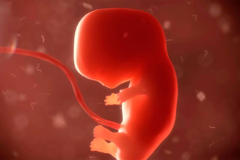 «Что нужно знать об аборте»