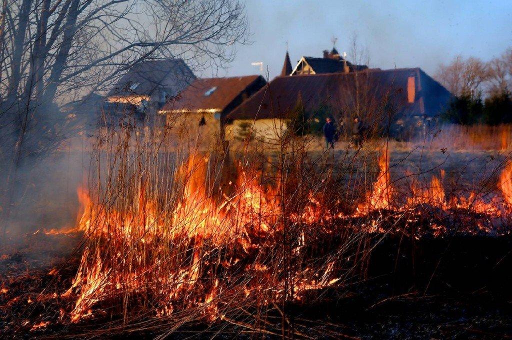 В Нерехтском районе введен особый противопожарный режим