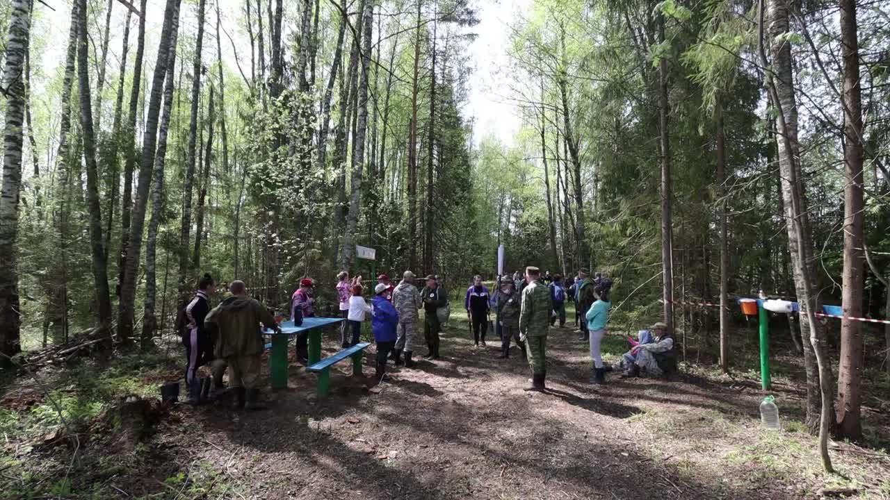 Фонд Костромского лесничества пополнили 12 тысяч молодых деревьев