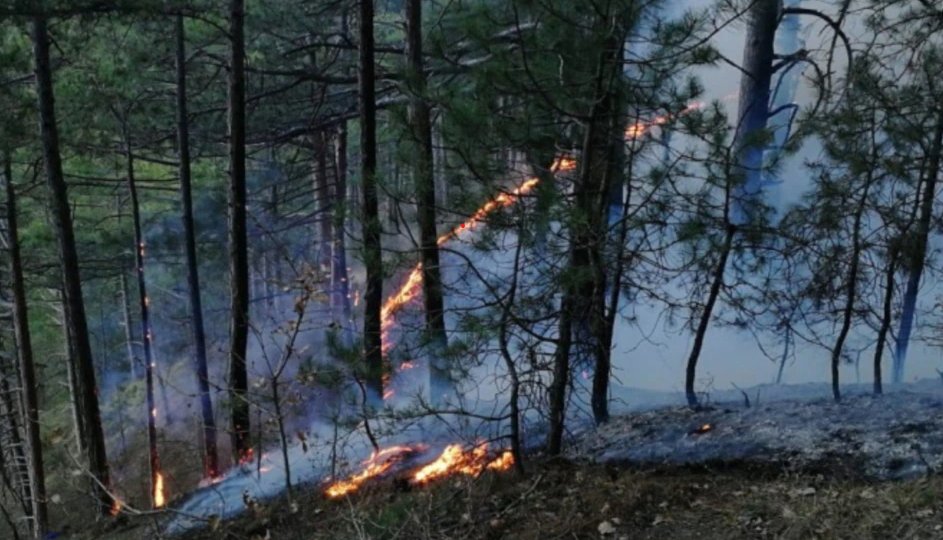 В Поназыревском районе тушат лесной пожар