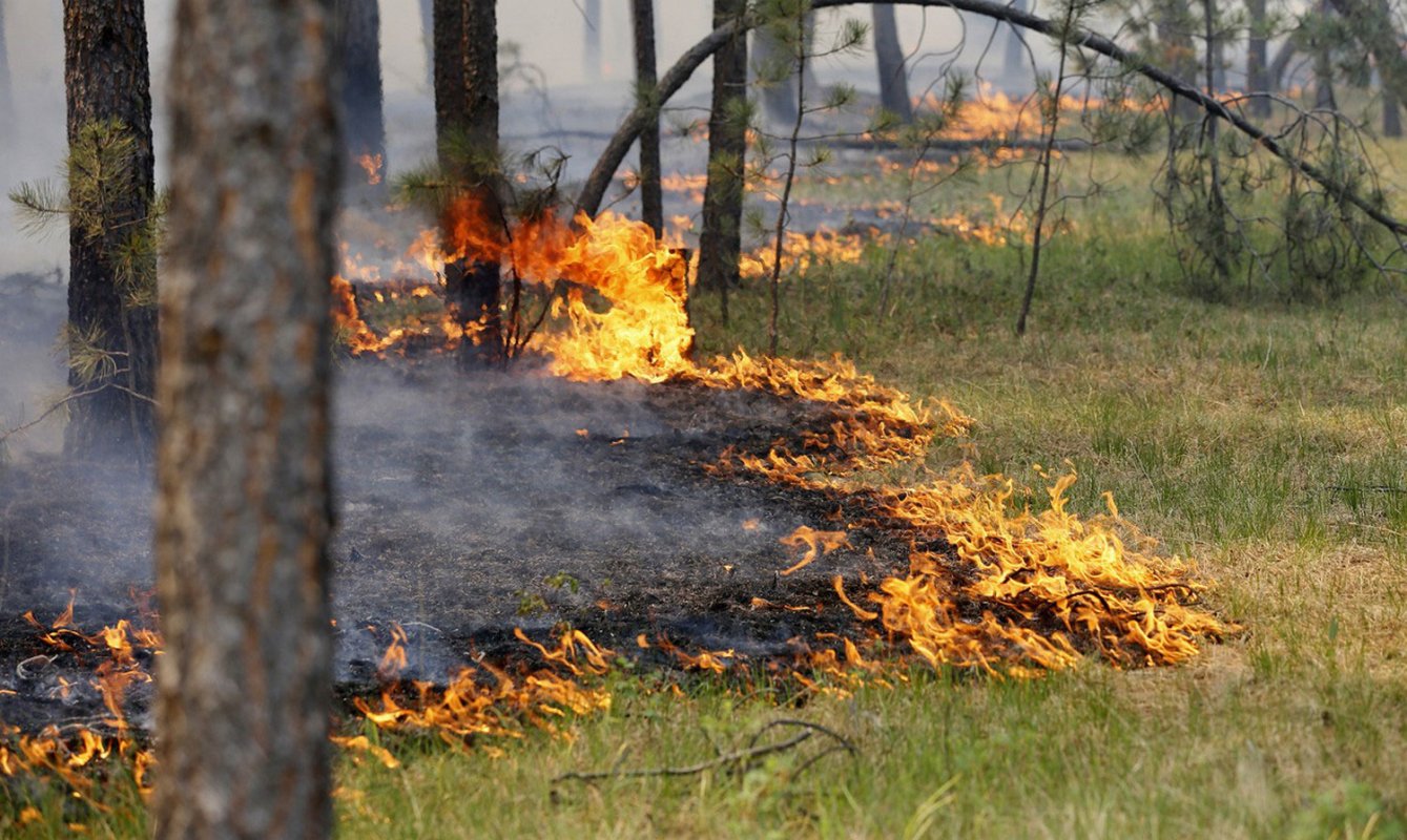 В Костромской области пожароопасность на пять баллов