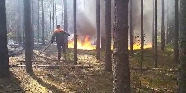 В области продолжают тушить 3 лесных пожара