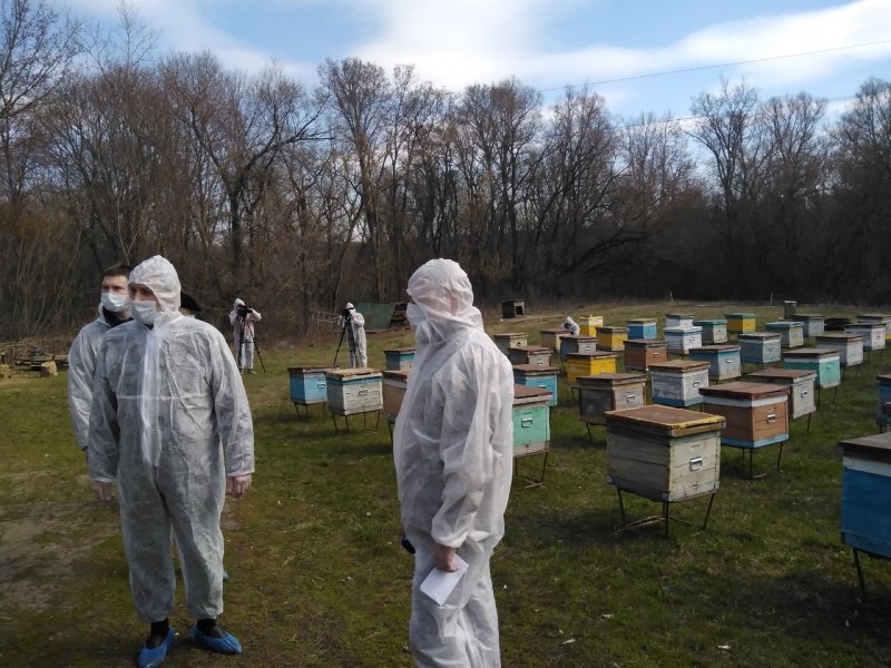 Солигаличские ветеринары проверили пчелиные пасеки
