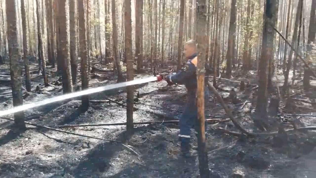 17 лесных пожаров ликвидированы в регионе за последнюю неделю