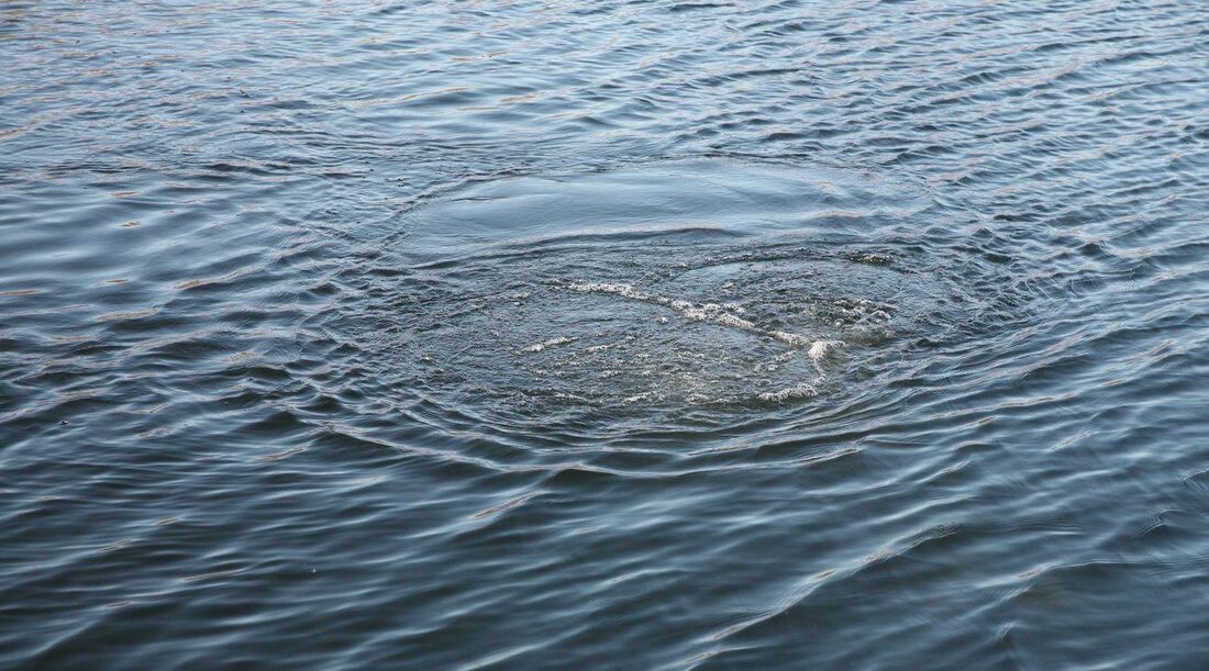 Сегодня в районе деревни Спас в воде обнаружили тело 54-летнего буевлянина