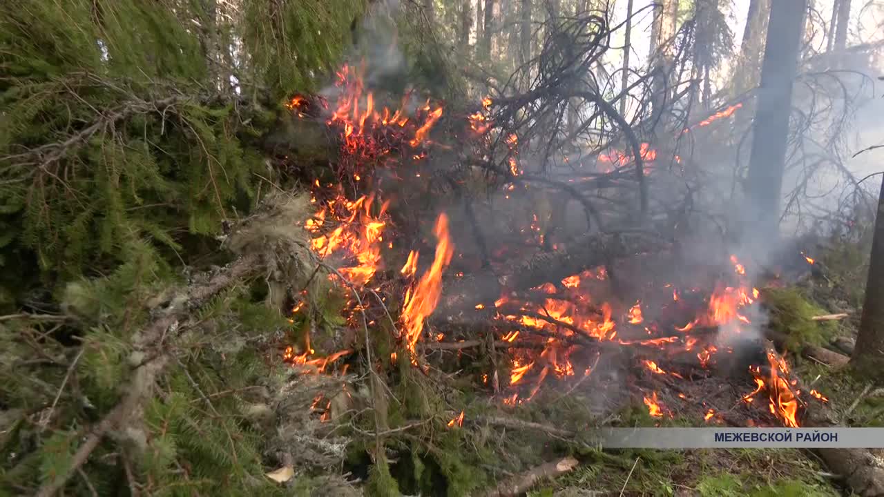 На границе Межевского и Кологривского районов десятый день продолжают тушить  масштабный лесной пожар