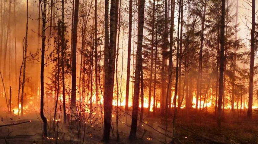 В Костромской области продолжают борьбу с крупным пожаром