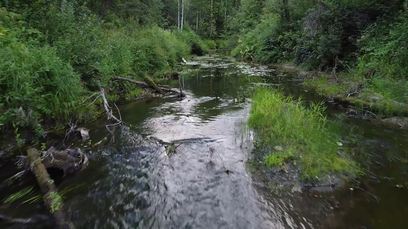 Вода в реке стала быстро прибывать. Река стёжера Кострома. Унжа вода Кострома. Маленькая речка расползалась. В Северо Восточной части нашего леса есть небольшая речка.