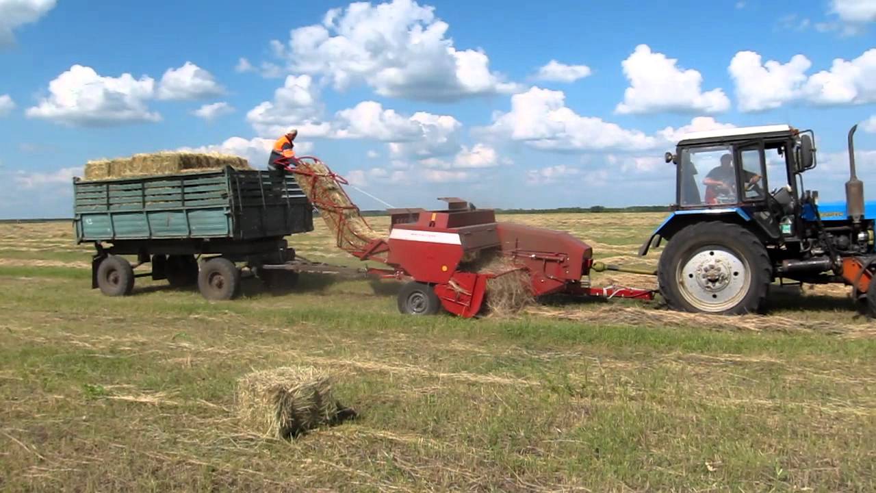 130 хозяйств Костромской области завершили заготовку кормов