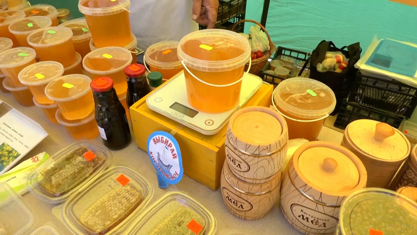В Костроме открылась традиционная ярмарка меда