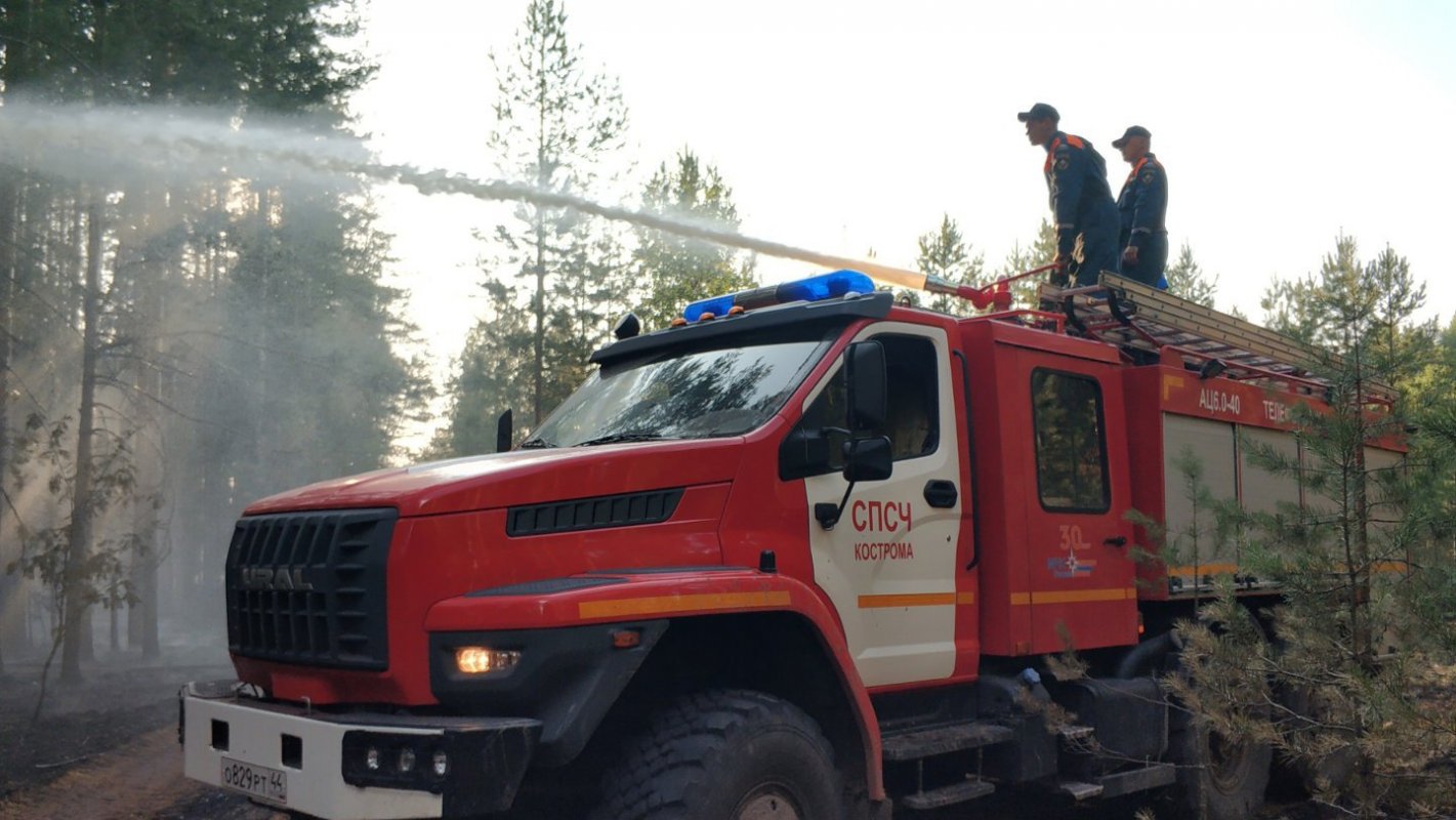 В Костромской области завершено тушение крупного лесного пожара