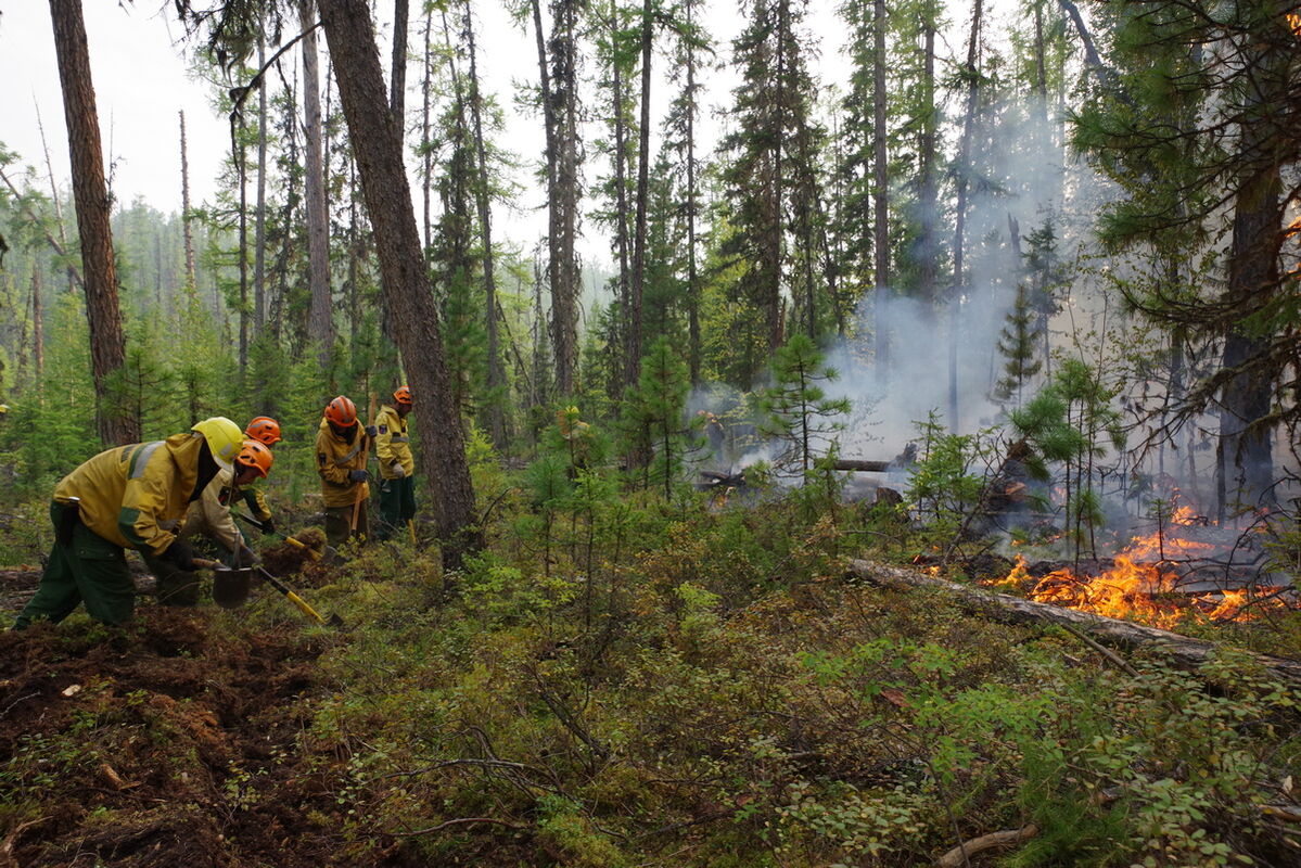 Губернатор Костромской области потребовал продолжить профилактику лесных пожаров
