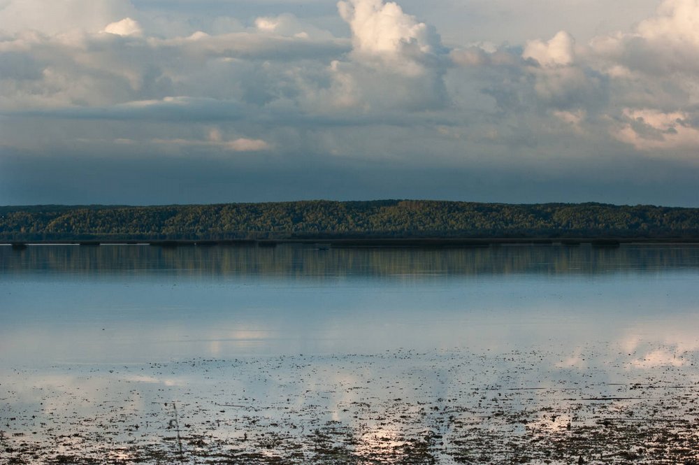 В Костромской области разрабатывают проект  очистки двух озер – Галичского и Святого