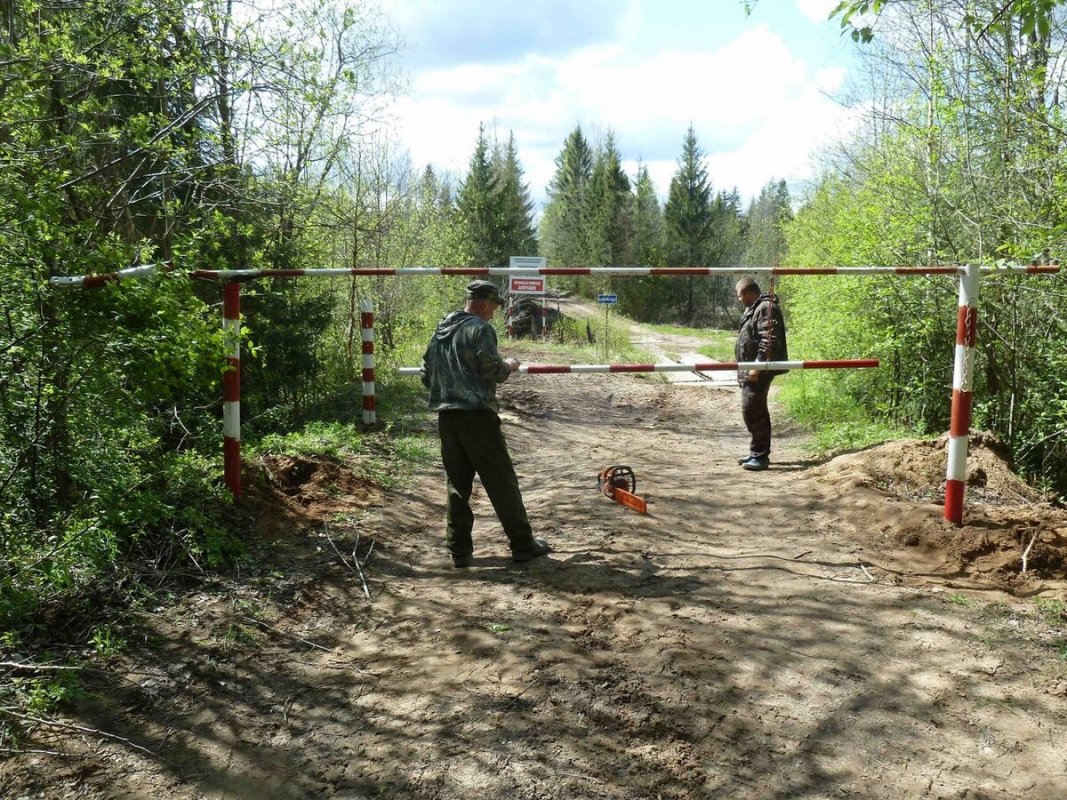 В Костромской области увеличат штат  лесных инспекторов