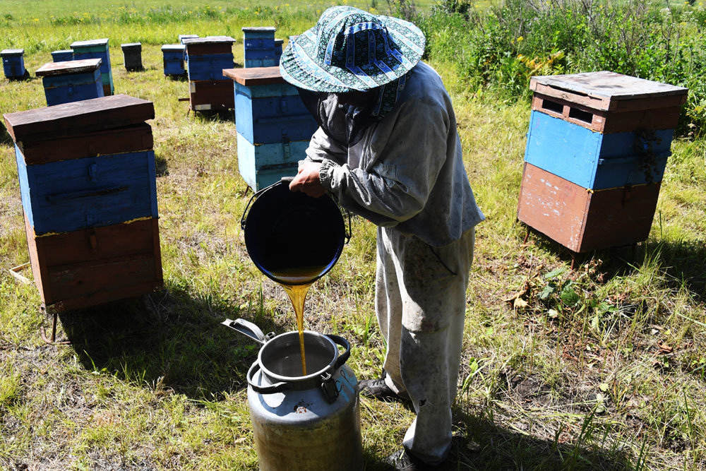 В Костроме встретятся пчеловоды страны