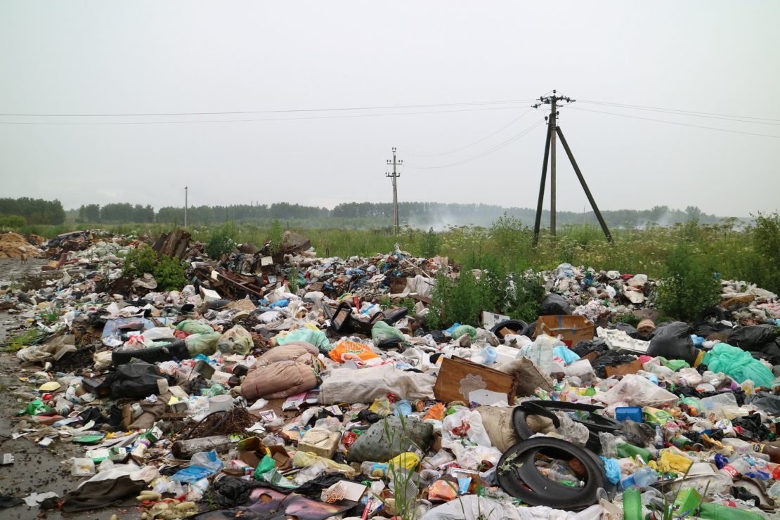 В Костромской области организаторов  стихийных свалок накажут рублем