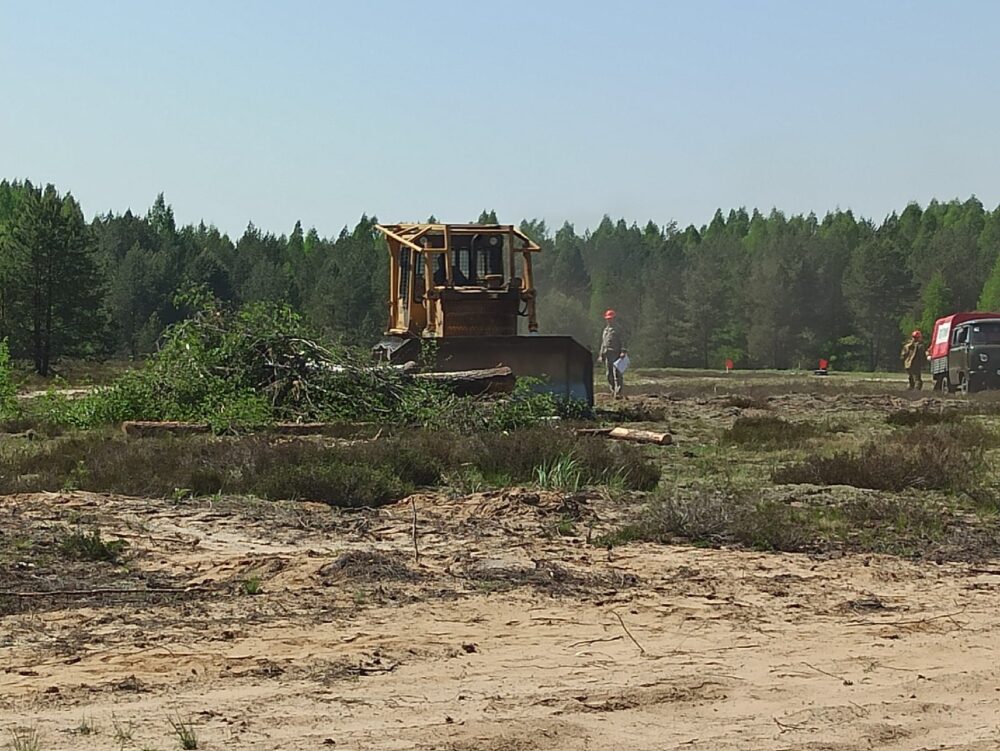 Костромской области  добавят денег на  защиту лесов