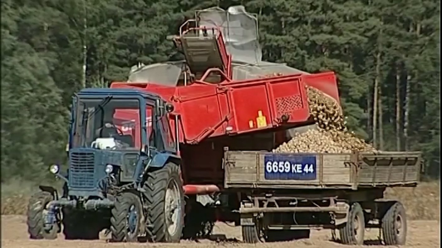 В Костромской области будут выращивать элитный картофель