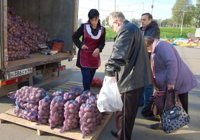 В Костромской области цены на основные продукты ниже, чем в целом по России