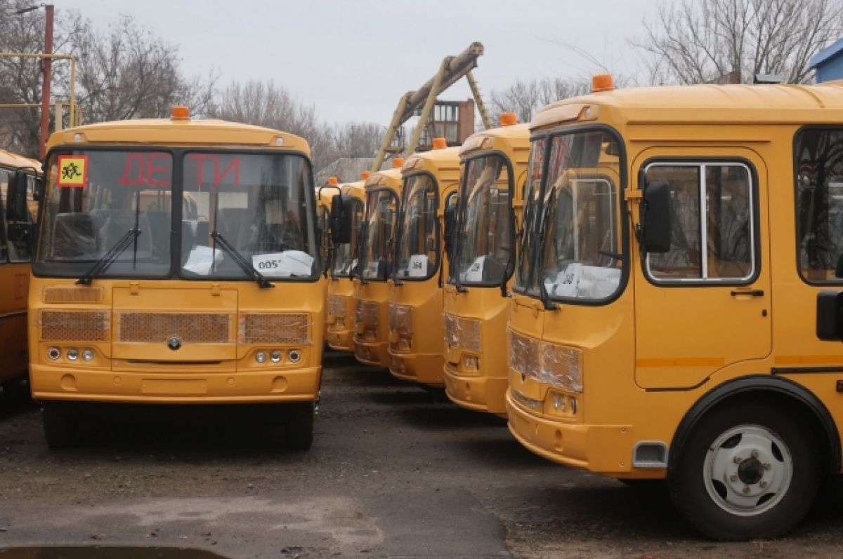 Костромских школьников перевозят 84 новых автобуса