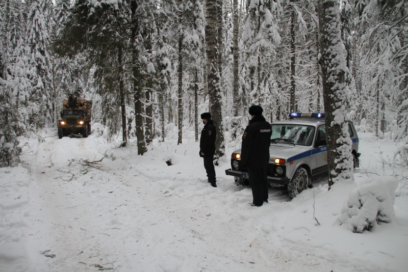 Полиция вышла на  защиту костромских лесов