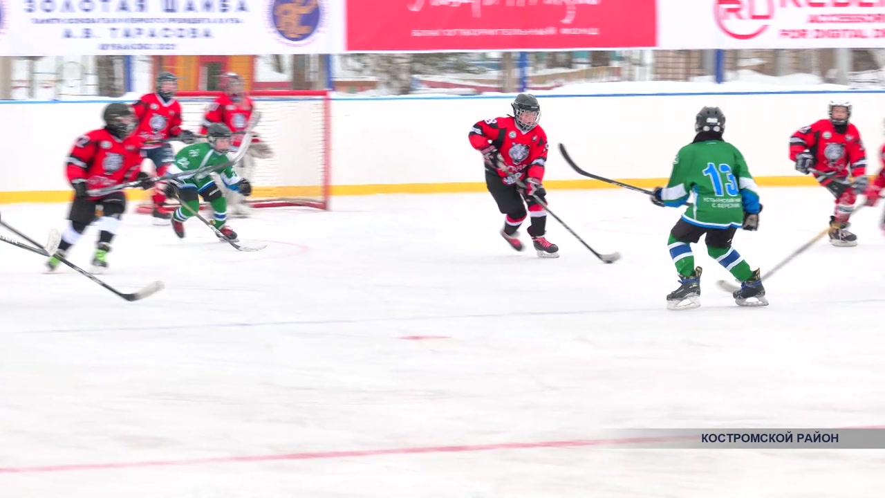 В Костромской  области завершился 22  хоккейный турнир «Золотая шайба»