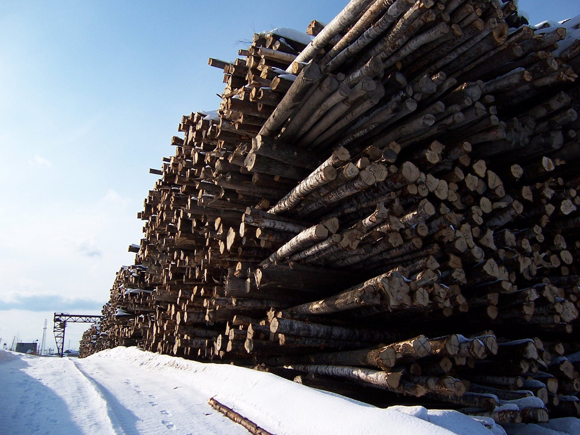 Заготовку древесины в  Костромской области за год  увеличили почти на миллион кубометров