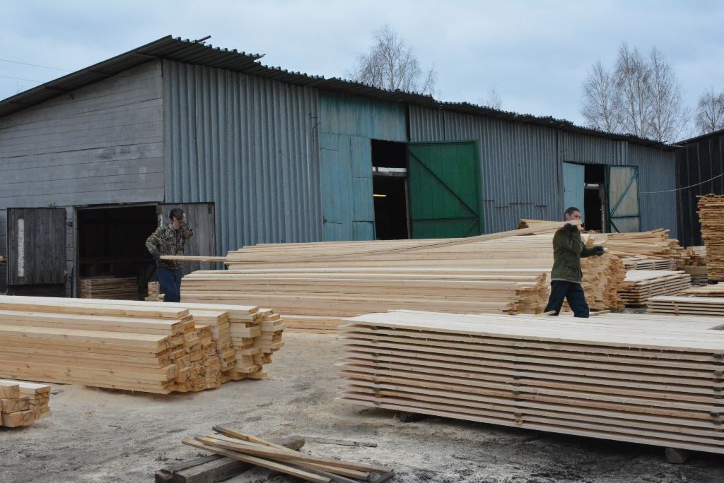 В Костромской области доходы от лесной отрасли выросли в 3,5 раза