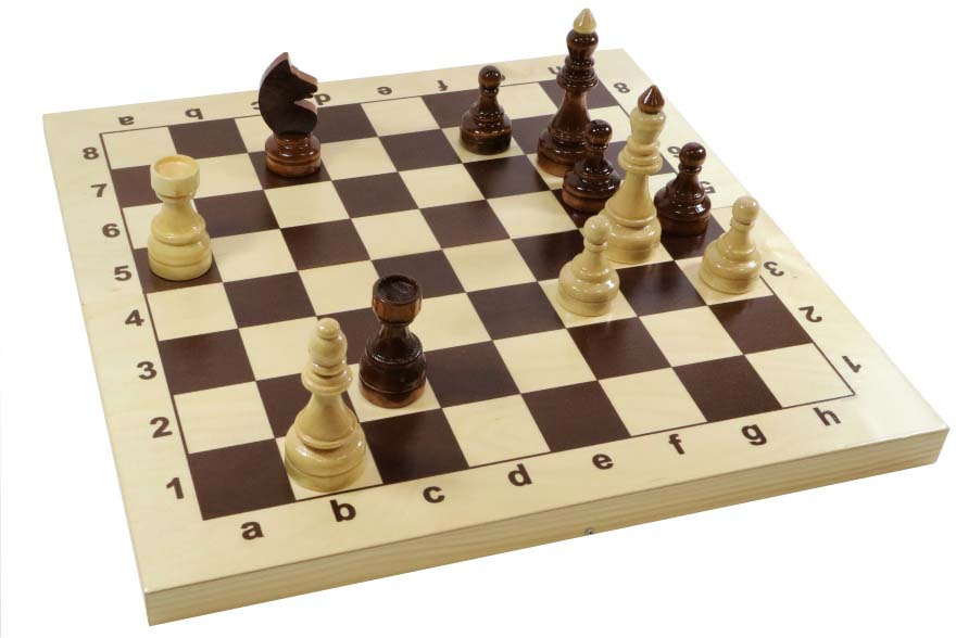 В Костроме сегодня пройдет открытый чемпионат по шахматам среди младших школьников