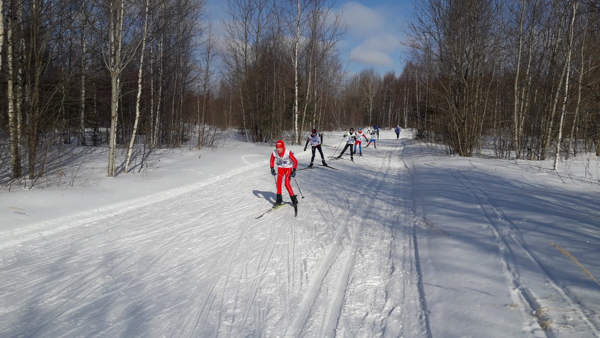 Костромская область принимает участников лыжного марафона
