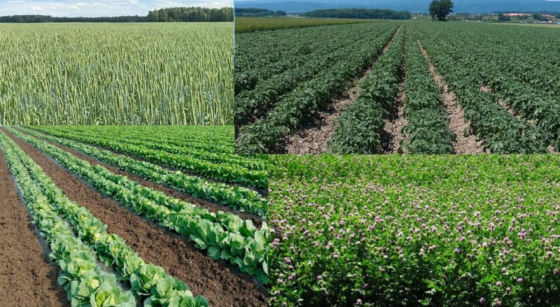 Костромская область увеличивает финансовую поддержку аграриев