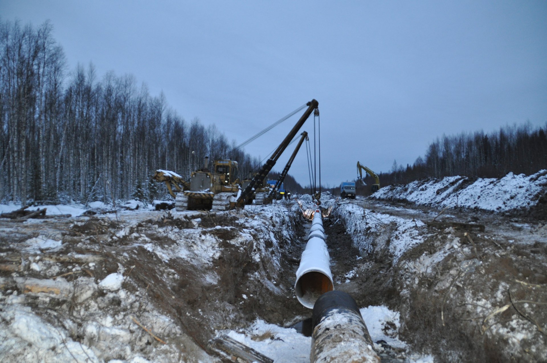 В Костромской области начали расчищать территорию для будущего межпоселкового газопровода до Шарьи