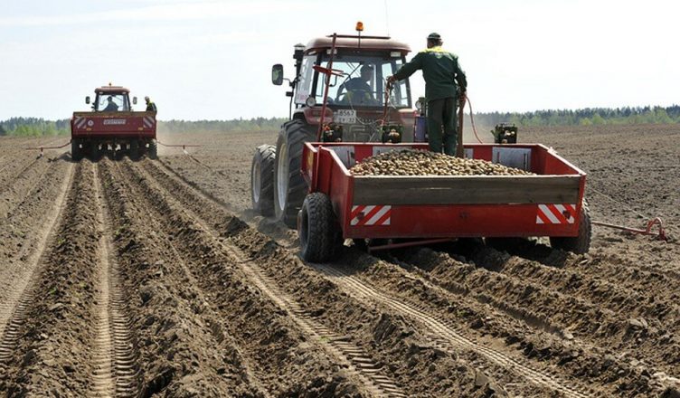 Хозяйства Красносельского района готовятся к весенне-полевым работам