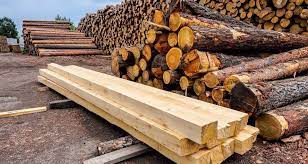В Костромской области реализуют два новых проекта в сфере деревопереработки