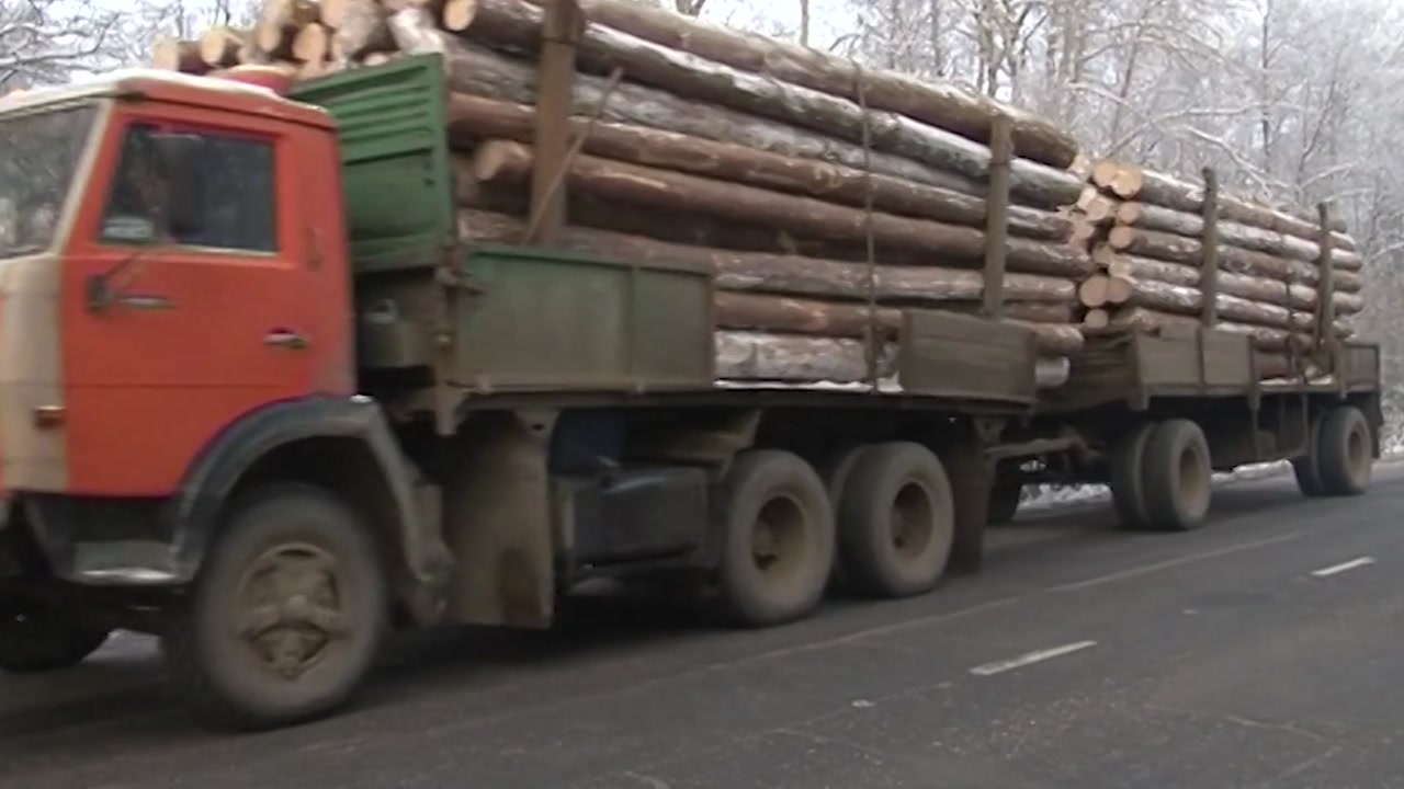 У лесозаготовителей Костромской области – горячая пора