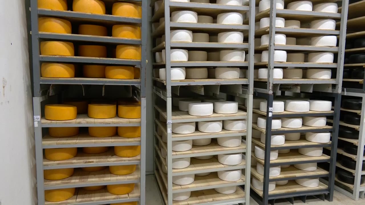Жители региона обеспечены сыром более чем на 100 процентов